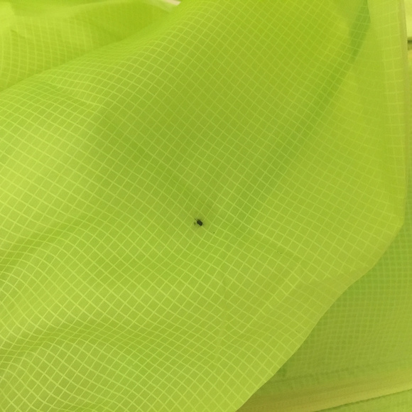 361 lime green wind breaker - Picture 4 of 8